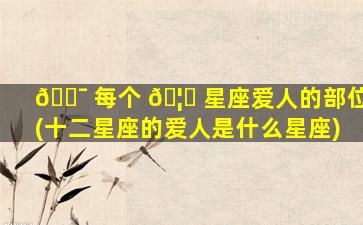 🐯 每个 🦍 星座爱人的部位(十二星座的爱人是什么星座)